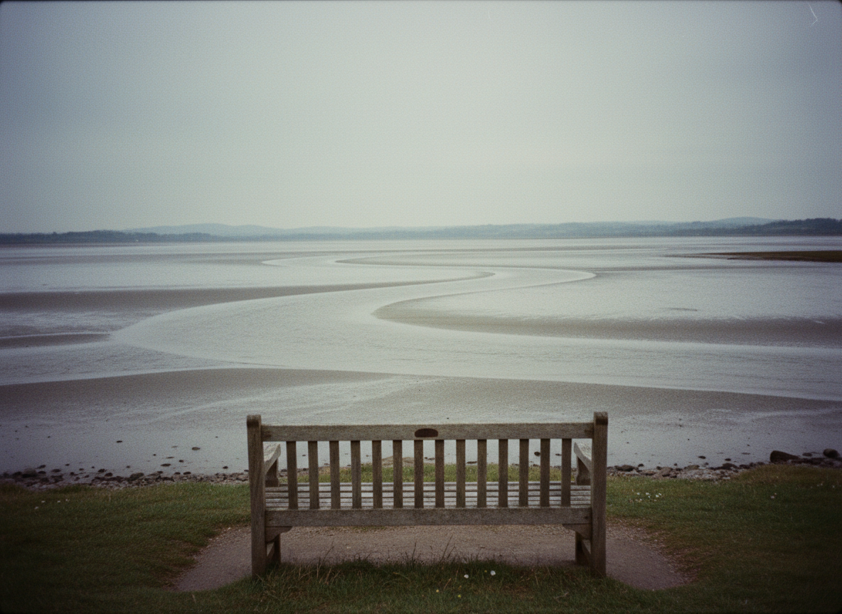 An empty wooden bench overlooking a wide grey estuary
